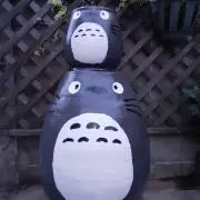 かずちゃんの画像