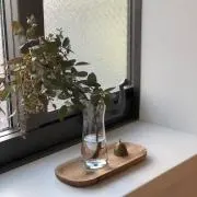 naomiの画像