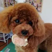 ふぅ☆