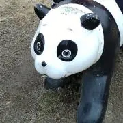 akomamaの画像