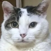 Yutaの画像