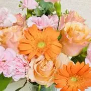 まゆゆんの画像