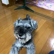 Akiの画像