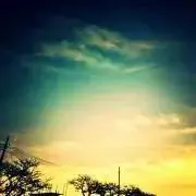 Mi