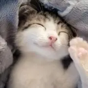 にょす⭐️の画像