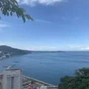 タコピーの画像