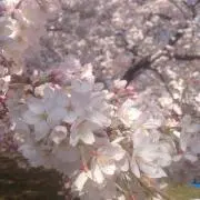 うに