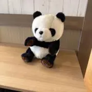 かきのきの画像
