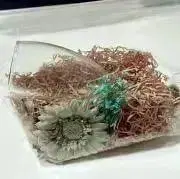ボストンの画像