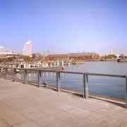 あんこの画像
