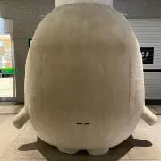 ゆうの画像