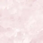 りぼんの画像
