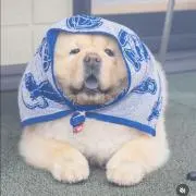 じゅんの画像