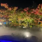 mn@即購入OK！の画像