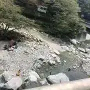 ねねの画像