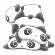 まるまるぱんだの画像