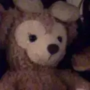 るるの画像
