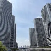 とわの画像