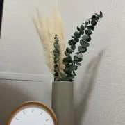おかのすけの画像
