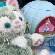 あきたその画像