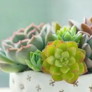 yuki★即購入24Hいつでも購入OK！の画像
