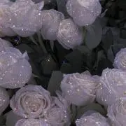 aの画像
