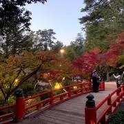 Rの画像