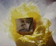 wingの画像