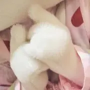 えむの画像