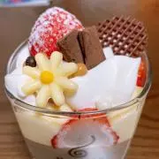 yuyu