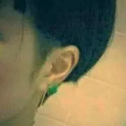 だんしゃり梅/只今お値下げ中