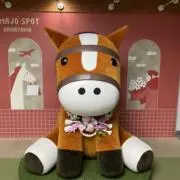 なつの画像