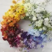 いと　断捨離中の画像