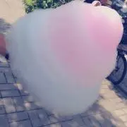チョコくまの画像