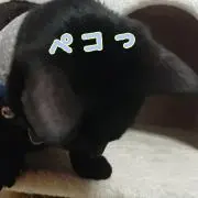 komu*の画像
