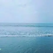 琉杏