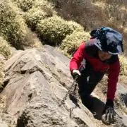 やーぼぷーか