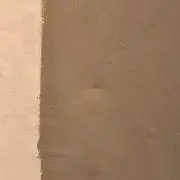 _bsx_ae_の画像