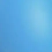 タヌの画像