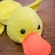 〜断捨離中〜mimiの画像