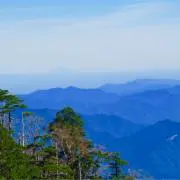 ソラユウの画像