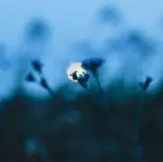 たかしの画像