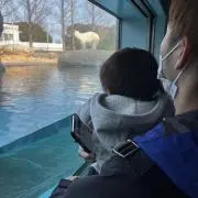 しんのすけ