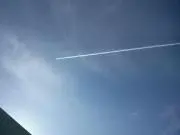まるりんの画像