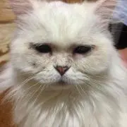 まゅちむ☆停止中、発送できません。
