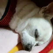 kei　プロフ確認お願いします。の画像