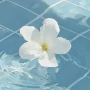 ほしの画像