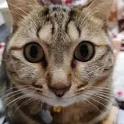 ゆきみ！服値下げします。プロフィール見ての画像