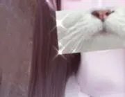 ‪√‬‎‎