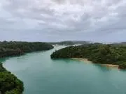 ガボの画像